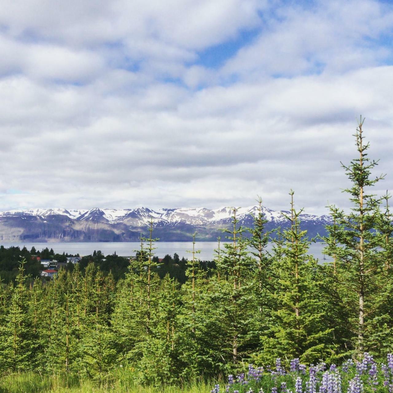 Spirit North Guesthouse Húsavík 外观 照片